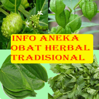 1001 Obat Tradisional Herbal