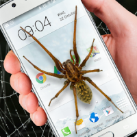 फ़ोन अजीब मजाक में मकड़ी