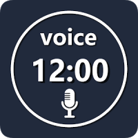 voice wake alarm-accessible alarm