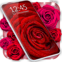 Red Rose Live Wallpaper Flowers 4K Wallpapers