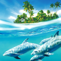 Fondos de pantalla de delfines Imágenes Bonitas