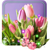 Tulipanes primavera Fondos Pantalla Animados