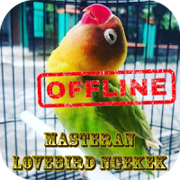 Masteran Lovebird Ngekek