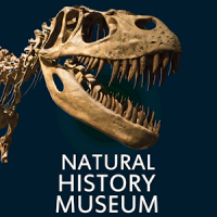 Natural History Museum Lite