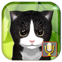 Talking Kittens, gato virtual que habla, cuídalo