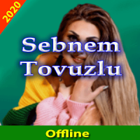 Sebnem Tovuzlu 2020