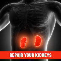 Repair Your Kidneys Naturally