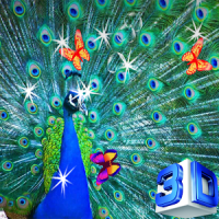 3D Peacock Wallpapers