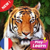 Aprenda animales en francés