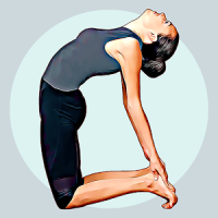 Hatha yoga for beginners－Daily home poses & videos