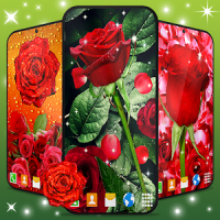 3D Red Rose Live Wallpaper Spring Garden Themes
