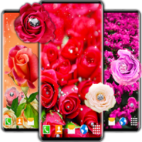 Diamond Rose Live Wallpaper ❤️ Shine HD Wallpapers