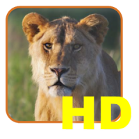 Safari List HD