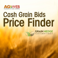 Cash Grain Bids