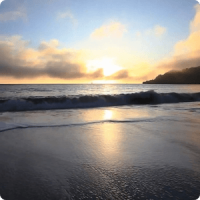 Ocean Waves at Sunset Live HD