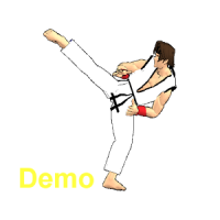 Final Karate (free)