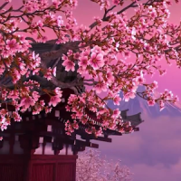 Sakura Video Wallpaper 3D