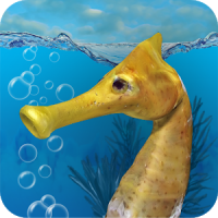 Seahorse 3D