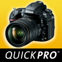 Guide to Nikon D800