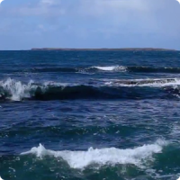 Blue Ocean Waves Live HD