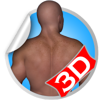Back 3D Fitness Workout Sets