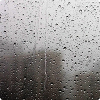 Raindrops Live Wallpaper HD