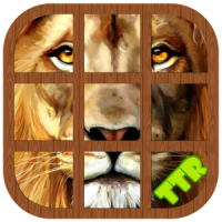 Lion Sliding Puzzle