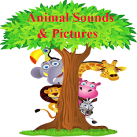 Zoo Animal Sounds And Pictures