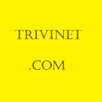 trivinet.com