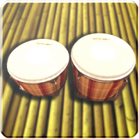 Bongo Drums (Djembe, bongo, conga, percusión)