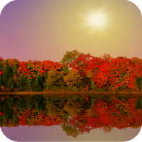 Autumn Lake Live Wallpaper