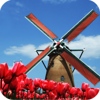 Tulip Windmill Live Wallpaper