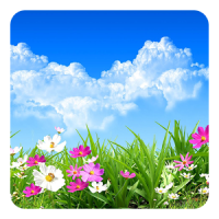 Flower Spring Live Wallpaper