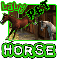 Baby Cavalo Pet