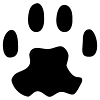 PAW Server for Android
