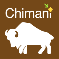 Yellowstone Ntl Park: Chimani