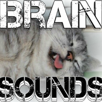 Brain Sounds Binaural Beats