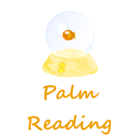 Palm Reader