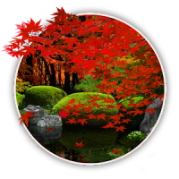 Zen Garden -Fall- ライブ壁紙