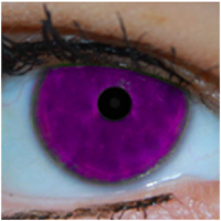 Baby Ojos Color Test