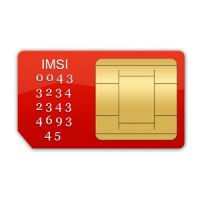 Your Sim Information