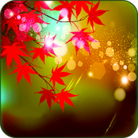 Maple Leaves Live Wallpaper