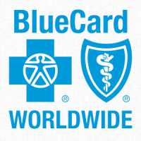 Blue Cross Blue Shield Global Core