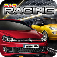 कार रेसिंग 2015
