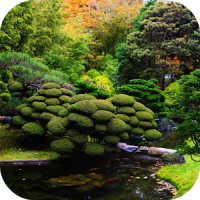 Koi Zen Garden Live Wallpaper