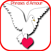 Phrases d'amour