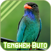 Oriental Dollarbird