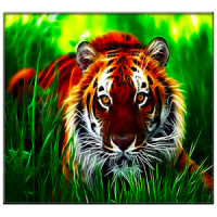 tigre de pantalla en vivo