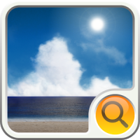 BEACH Search Widget