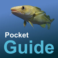 Pocket Guide UK Sea Fishing